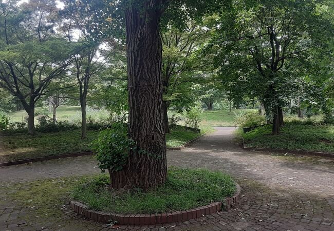 🌳 오이즈미 중앙공원 (오이즈미추오코엔) 이미지 1